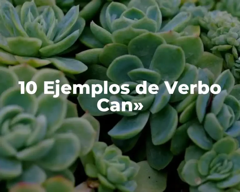 10 Ejemplos de Verbo Can»