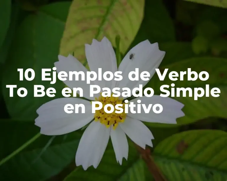 10 Ejemplos de Verbo To Be en Pasado Simple en Positivo