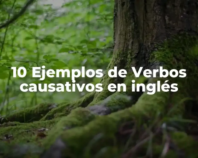 10 Ejemplos de Verbos causativos en inglés