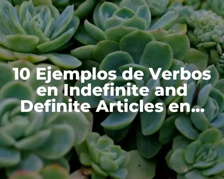 10 Ejemplos de Verbos en Indefinite and Definite Articles en Español