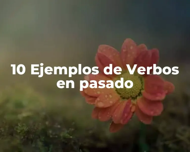 10 Ejemplos de Verbos en pasado
