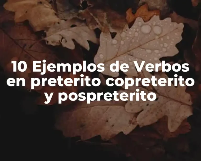 10 Ejemplos de Verbos en preterito copreterito y pospreterito