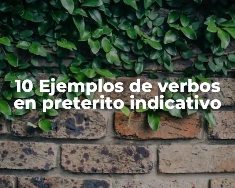 10 Ejemplos de verbos en preterito indicativo