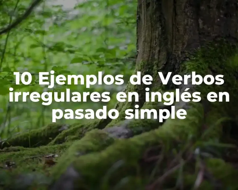 10 Ejemplos de Verbos irregulares en inglés en pasado simple