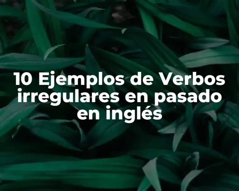 10 Ejemplos de Verbos irregulares en pasado en inglés