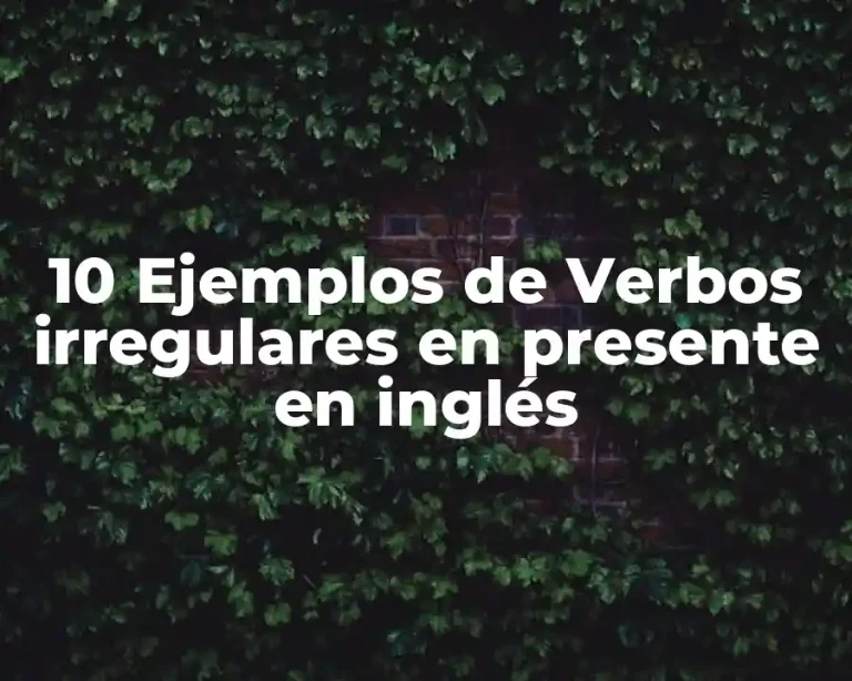 10 Ejemplos de Verbos irregulares en presente en inglés