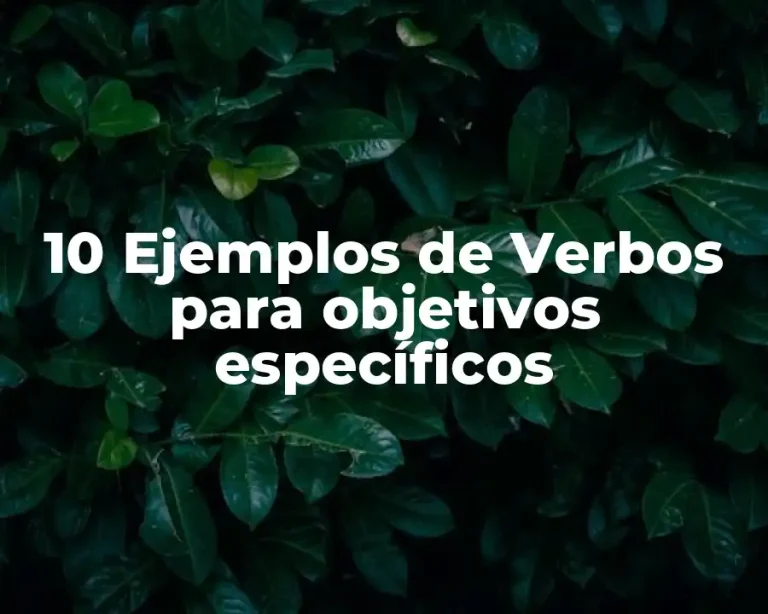 10 Ejemplos de Verbos para objetivos específicos