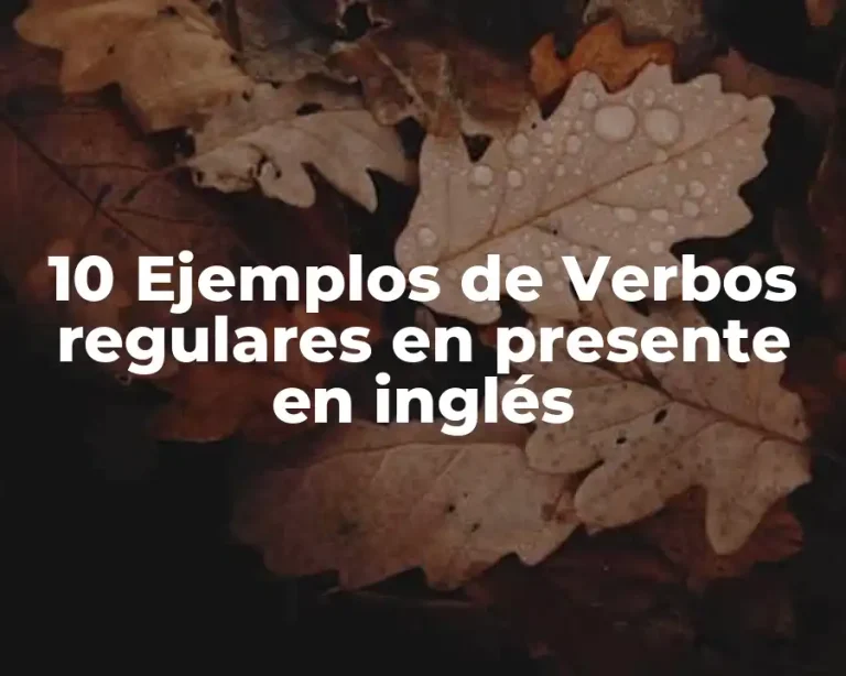 10 Ejemplos de Verbos regulares en presente en inglés