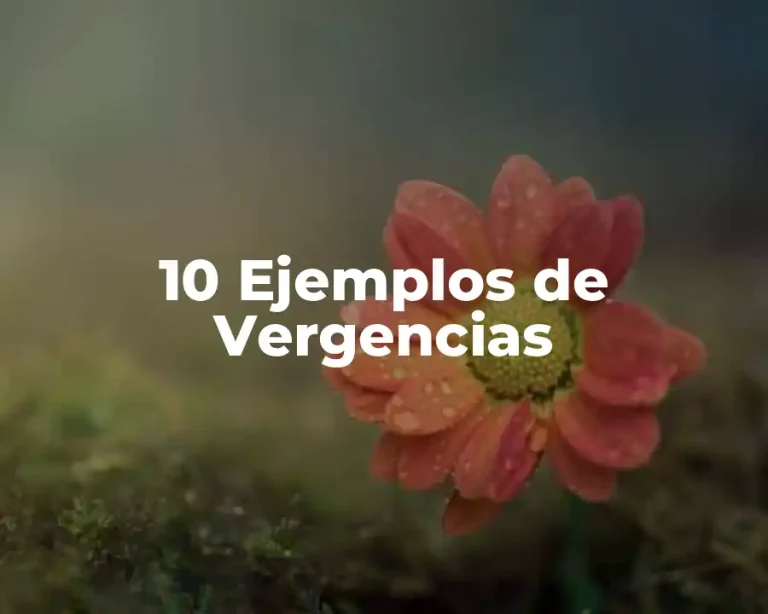 10 Ejemplos de Vergencias