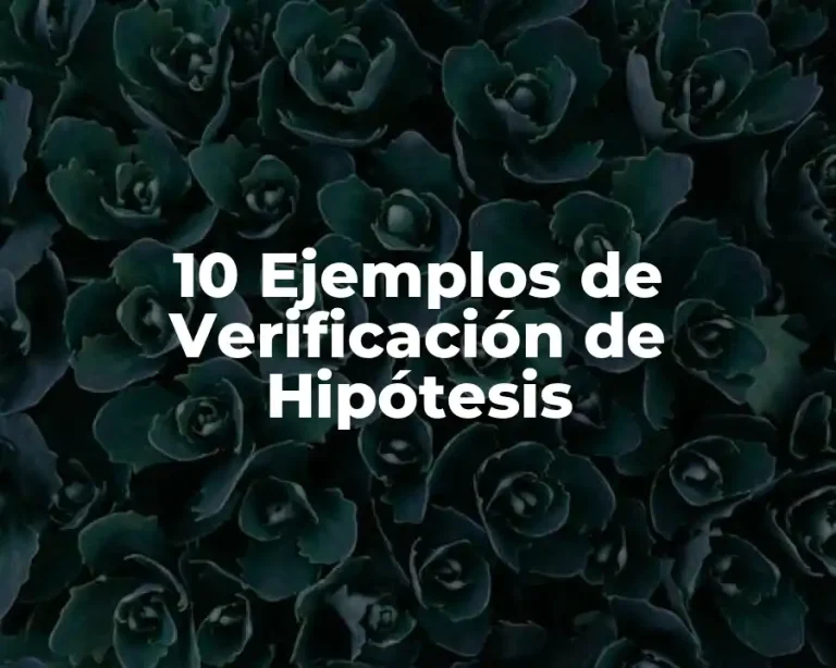 10 Ejemplos de Verificación de Hipótesis