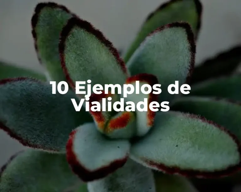 10 Ejemplos de Vialidades