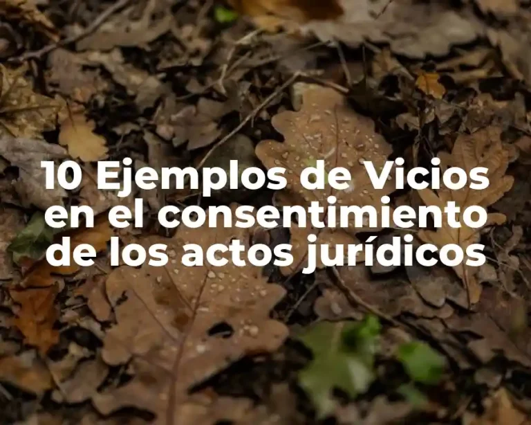 10 Ejemplos de Vicios en el consentimiento de los actos jurídicos