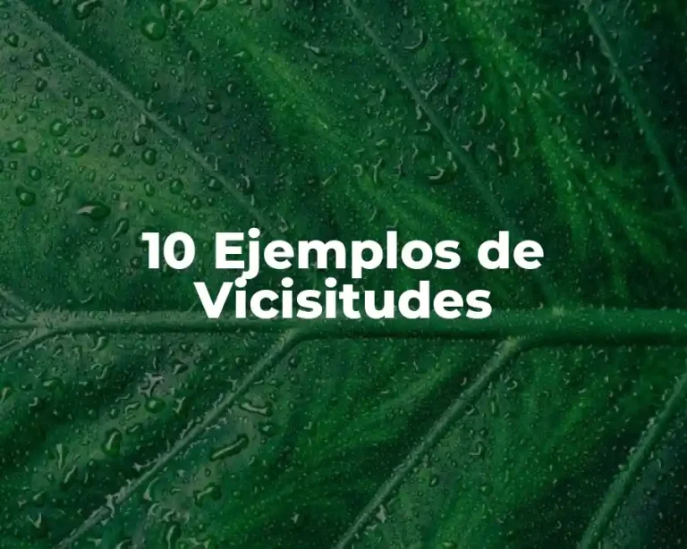 10 Ejemplos de Vicisitudes