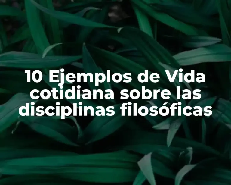 10 Ejemplos de Vida cotidiana sobre las disciplinas filosóficas