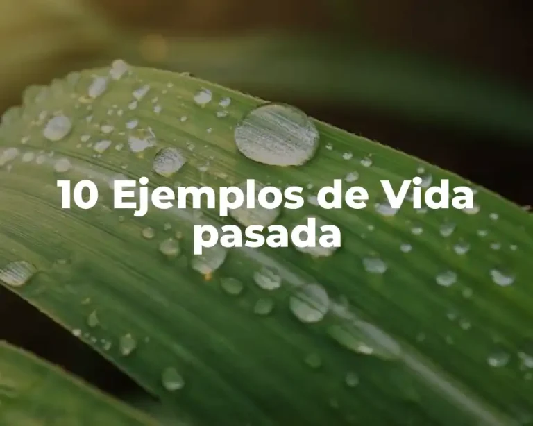 10 Ejemplos de Vida pasada