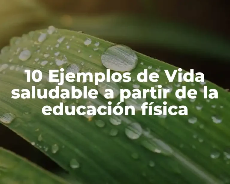 10 Ejemplos de Vida saludable a partir de la educación física