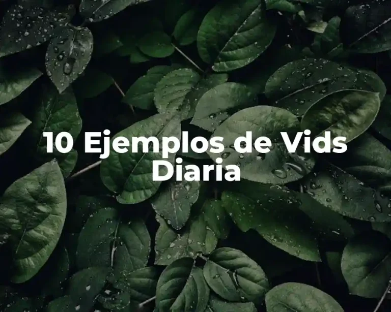 10 Ejemplos de Vids Diaria