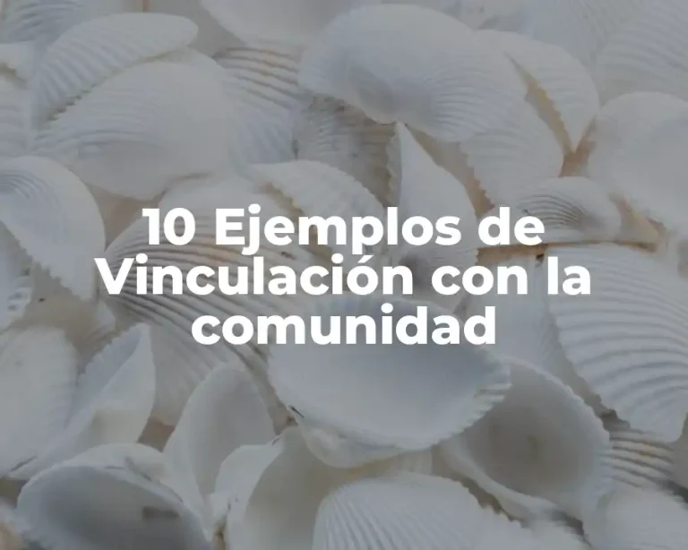 10 Ejemplos de Vinculación con la comunidad