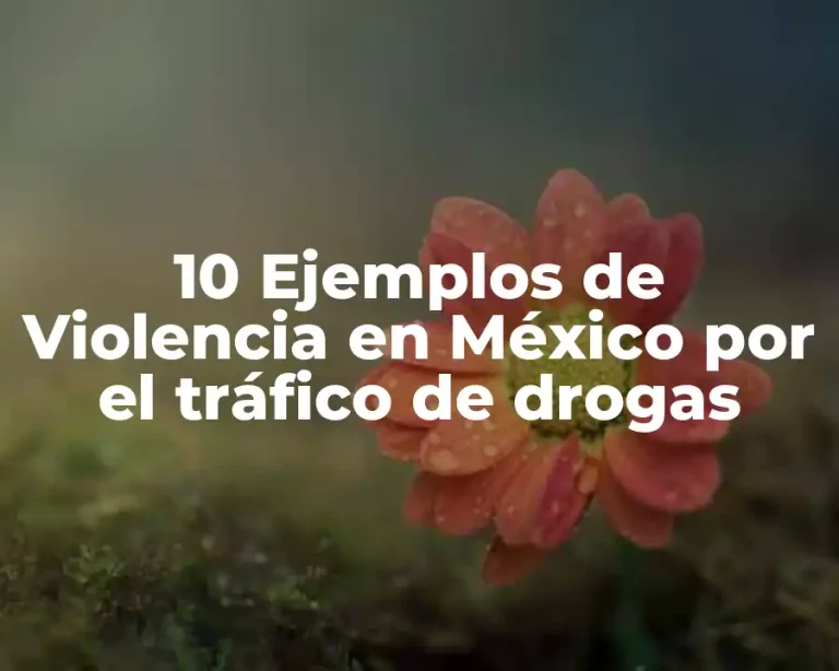 10 Ejemplos de Violencia en México por el tráfico de drogas