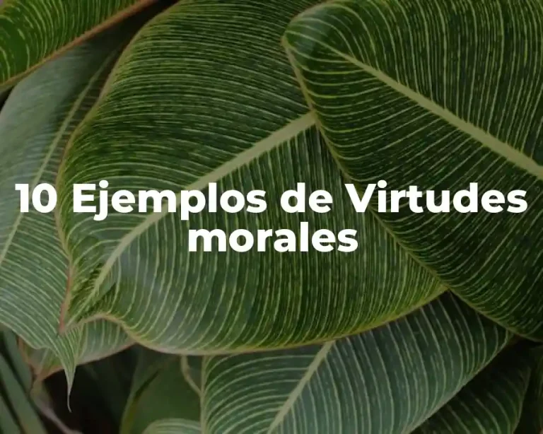 10 Ejemplos de Virtudes morales