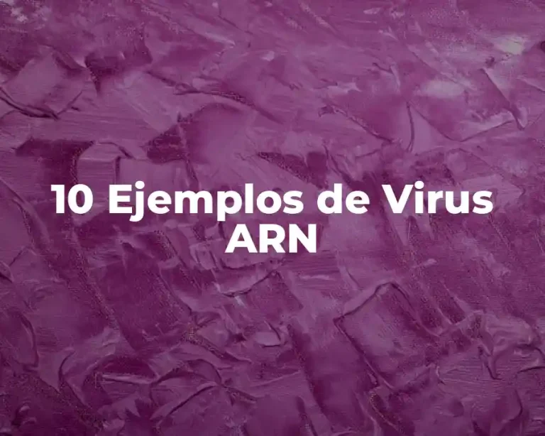 10 Ejemplos de Virus ARN