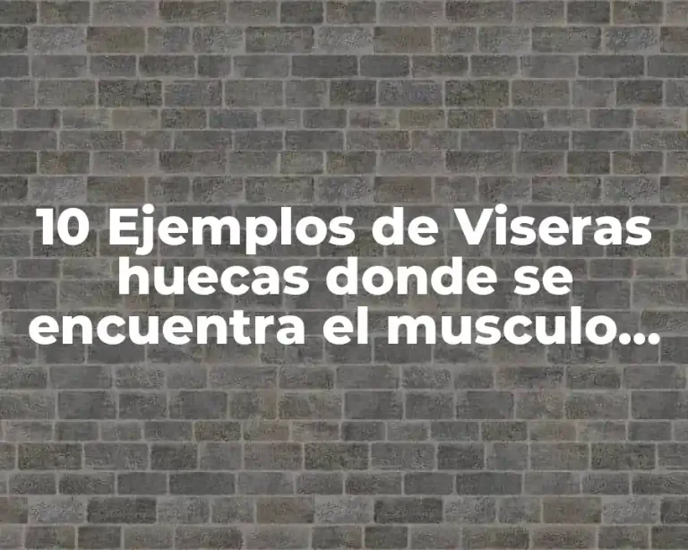 10 Ejemplos de Viseras huecas donde se encuentra el musculo liso