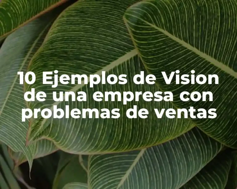 10 Ejemplos de Vision de una empresa con problemas de ventas