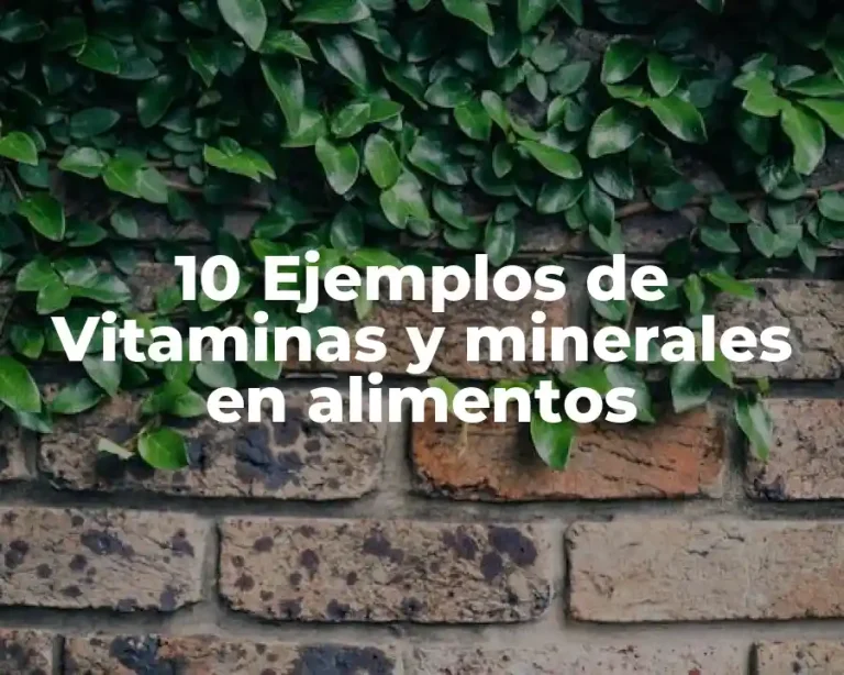 10 Ejemplos de Vitaminas y minerales en alimentos
