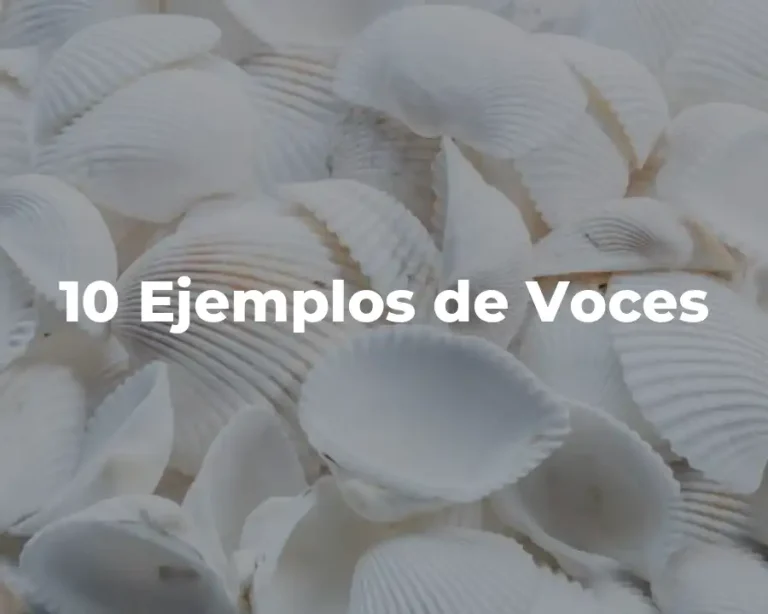 10 Ejemplos de Voces
