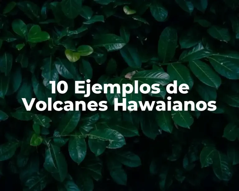 10 Ejemplos de Volcanes Hawaianos