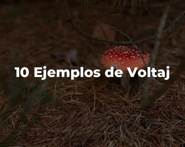10 Ejemplos de Voltaj