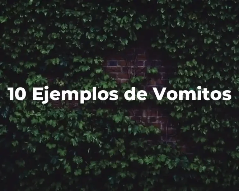 10 Ejemplos de Vomitos