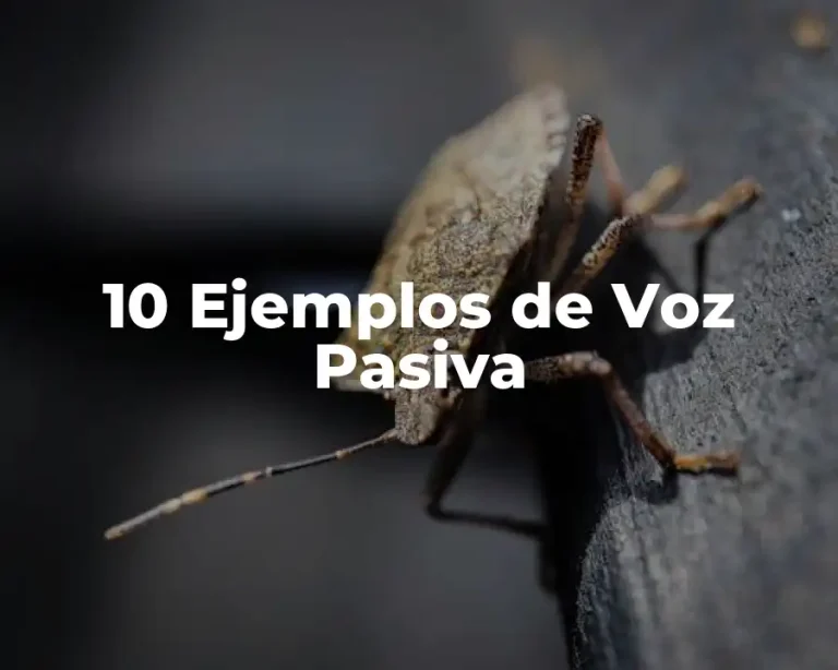 10 Ejemplos de Voz Pasiva