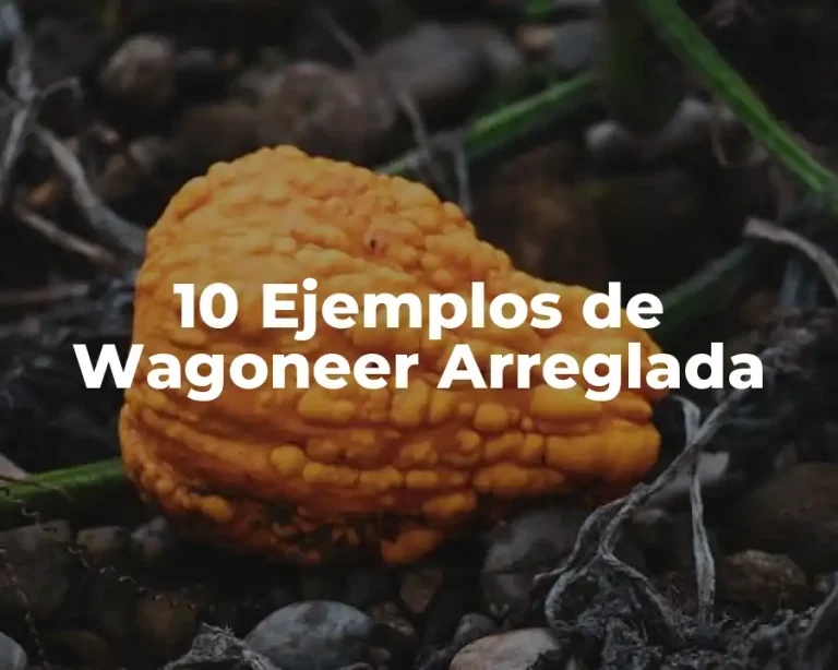 10 Ejemplos de Wagoneer Arreglada