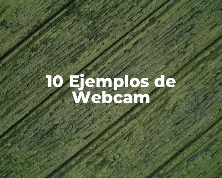 10 Ejemplos de Webcam