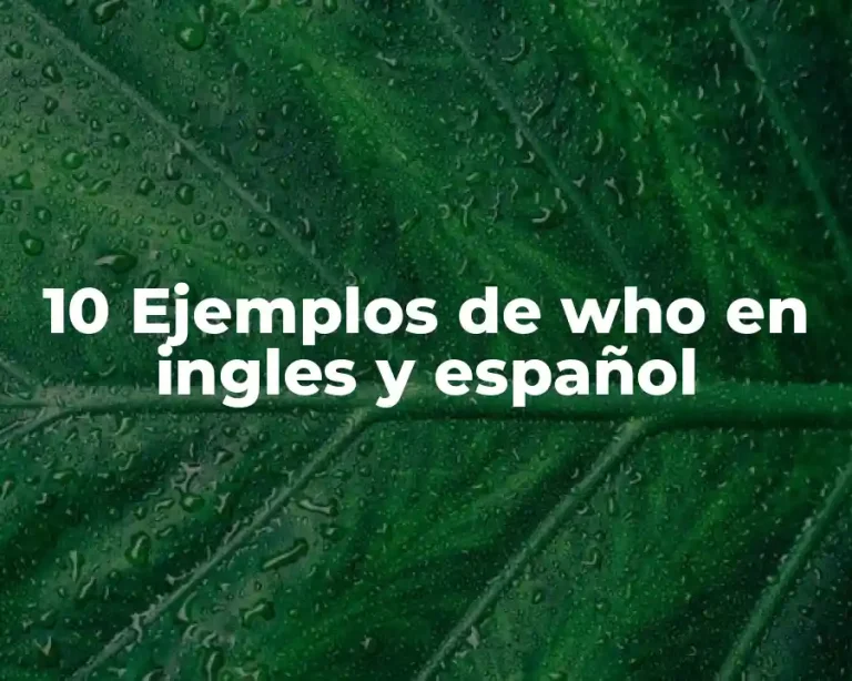 10 Ejemplos de who en ingles y español