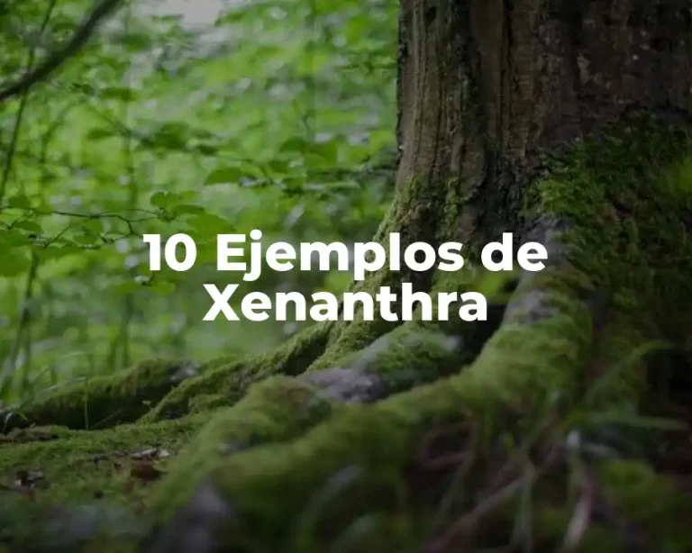 10 Ejemplos de Xenanthra