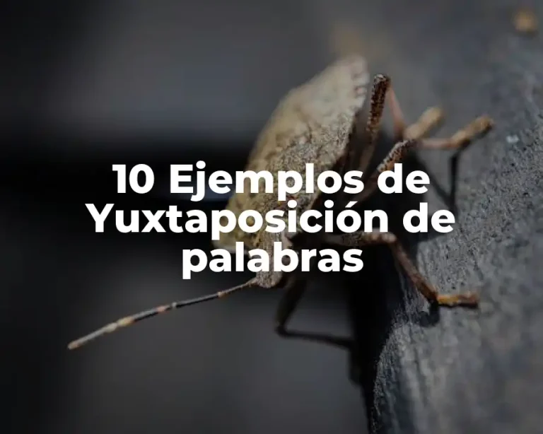 10 Ejemplos de Yuxtaposición de palabras