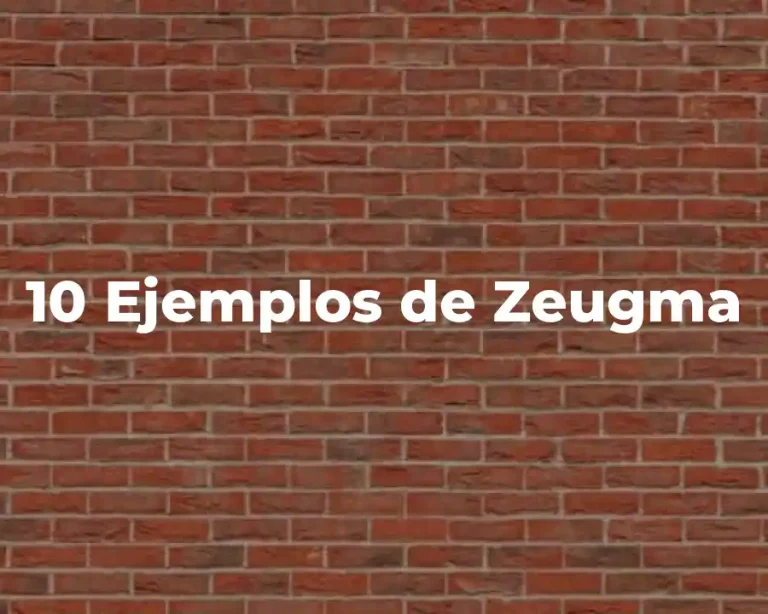 10 Ejemplos de Zeugma