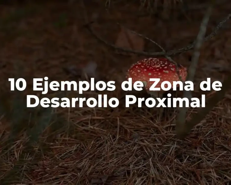 10 Ejemplos de Zona de Desarrollo Proximal