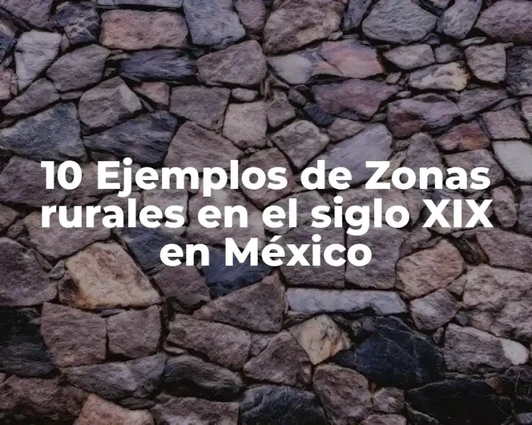 10 Ejemplos de Zonas rurales en el siglo XIX en México