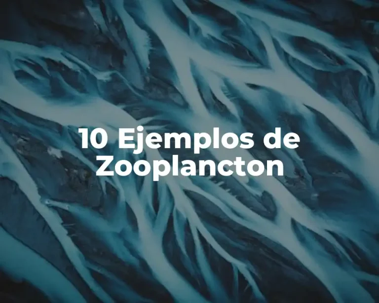 10 Ejemplos de Zooplancton