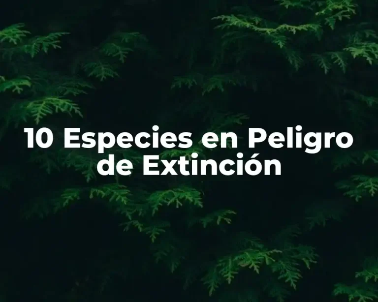 10 Especies en Peligro de Extinción