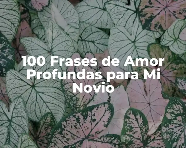 100 Frases de Amor Profundas para Mi Novio
