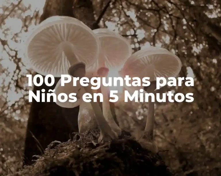 100 Preguntas para Niños en 5 Minutos