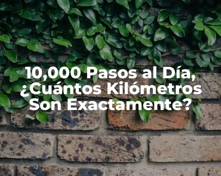 10,000 Pasos al Día, ¿Cuántos Kilómetros Son Exactamente?