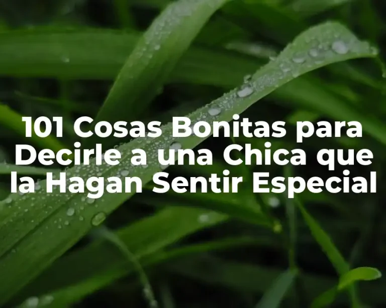 101 Cosas Bonitas para Decirle a una Chica que la Hagan Sentir Especial