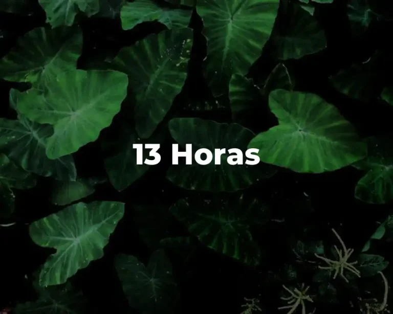 13 Horas