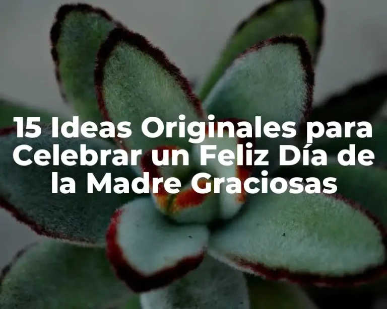 15 Ideas Originales para Celebrar un Feliz Día de la Madre Graciosas