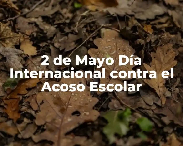 2 de Mayo Día Internacional contra el Acoso Escolar